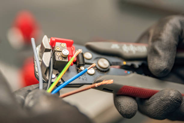 Best Home Electrical Repair  in Crane, TX